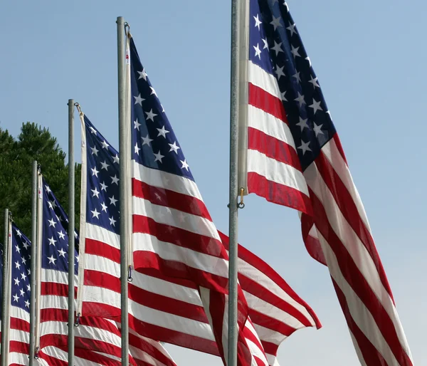 Amerikanische Flaggen — Stockfoto
