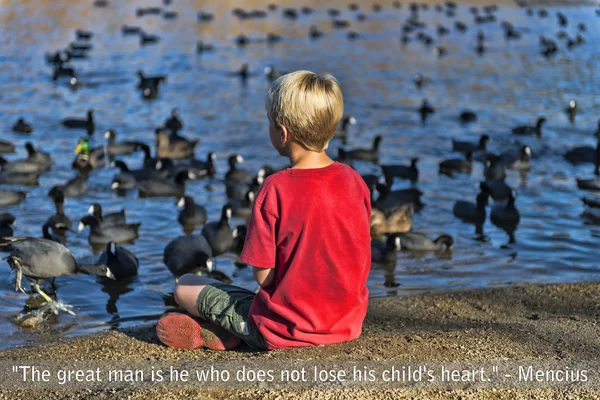 Boy feeding pigeons at the lake — Stock Photo, Image