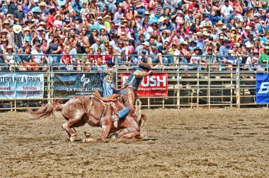 Cowboys bir rodeoya katılmak