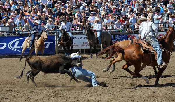 Cowboys deelnemen aan de Independence Day Team moulinette competitie — Stockfoto
