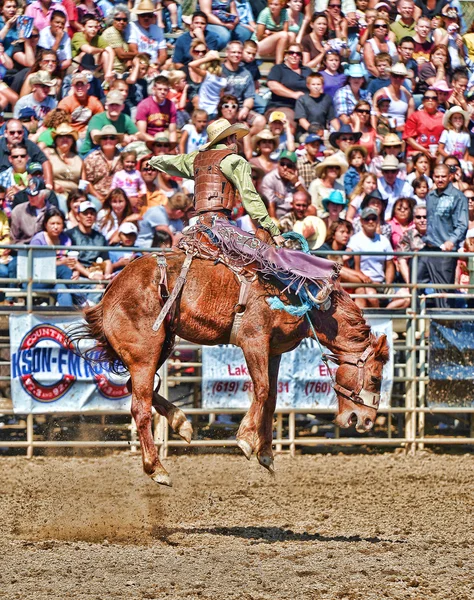 Cowboys participate in a Rodeo — Stock Photo, Image