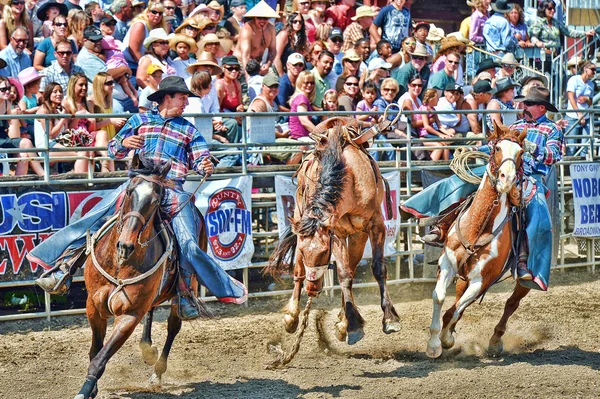 Cowboys deelnemen aan een rodeo — Stockfoto