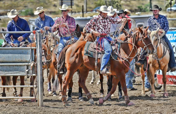 Cowboys participate in a Rodeo — Stock Photo, Image