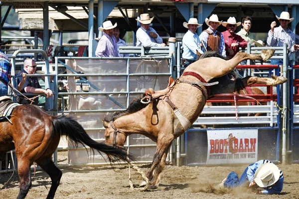 Kowboje uczestnictwa w konkursie Roping Team Dzień Niepodległości — Zdjęcie stockowe