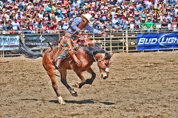 Cowboys participate in a Rodeo — Stock Photo, Image