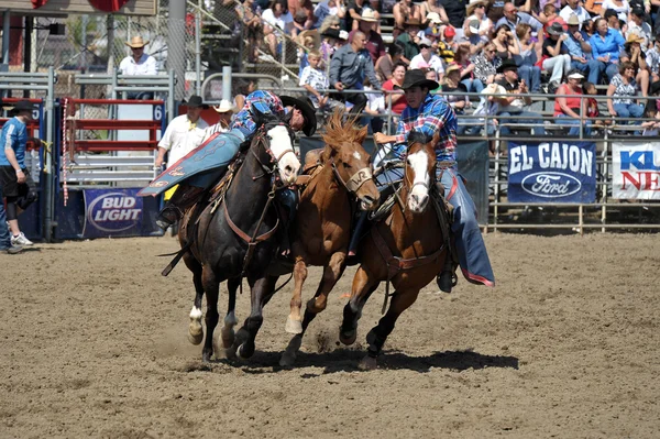 Cowboys deelnemen aan een rodeo — Stockfoto