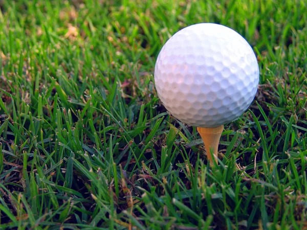 Golfbal op een tee — Stockfoto