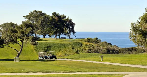 Torrey pines golf sahası - bluffs san Diego, california Pasifik Okyanusu üzerinde tünemiş