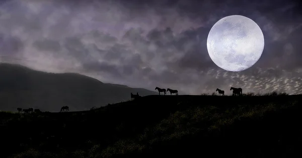 Paysage nocturne avec des chevaux en silhouette à la lune — Photo