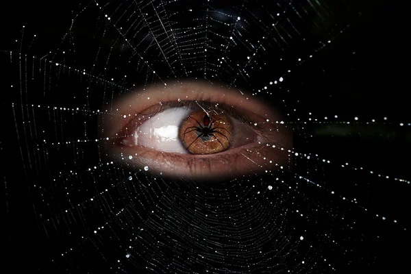 Ojo humano y tela de araña — Foto de Stock