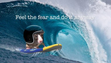 Rat with helmet on waves