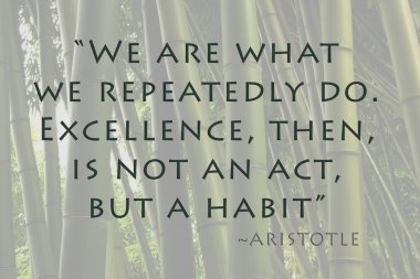 Excellence is habit clipart