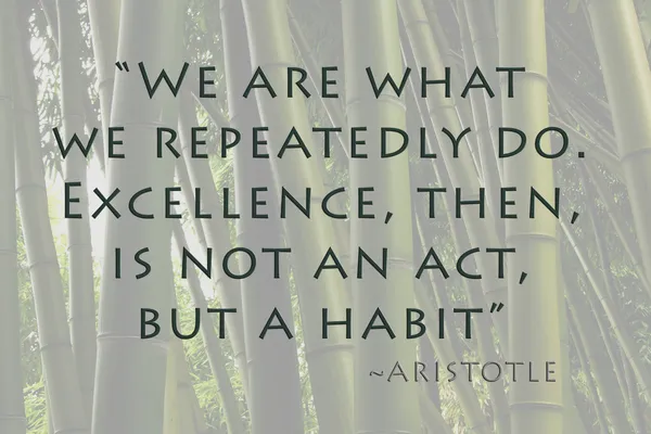 Excellence is habit — Stock Photo, Image