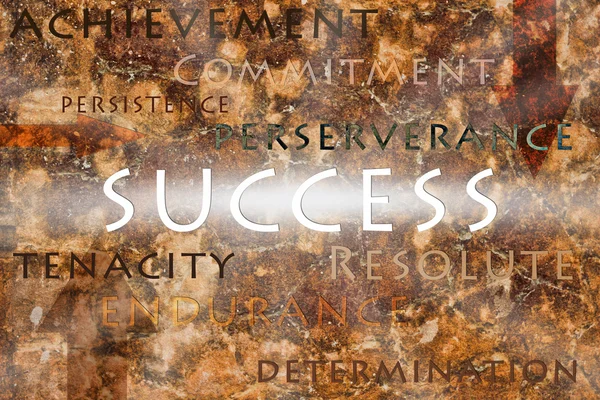 Positivity words with word "SUCCESS" — Stock Photo, Image