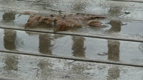 Water drops falling on wood floor — Stock Footage Water drops falling on wood floor Royalty Free Stock Footage