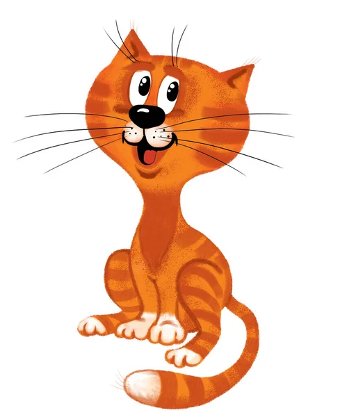 고양이 캐릭터 고양이 그래픽 디자인귀엽네 알파벳에 고양이 캐릭터 포스터 어린이 로열티 프리 스톡 사진