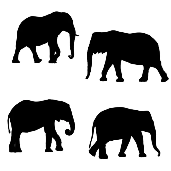 Black silhouettes of four elephants — Stock Vector