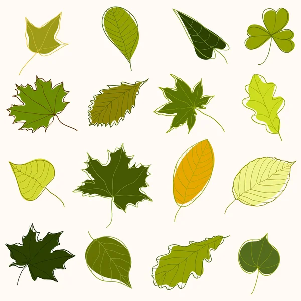 Набір різних листя — стоковий вектор