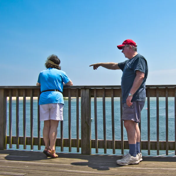 Seal-Watching from the Pier — Stock Photo, Image