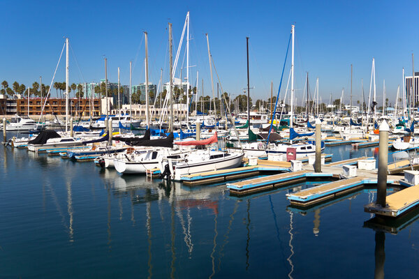 Сейлбот-рефлекс
