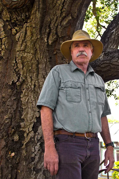 Hombre en un sombrero por un árbol — Foto de Stock