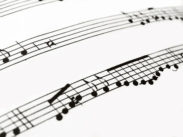 Müzik Notaları