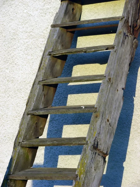 Ladder — Stock Photo, Image