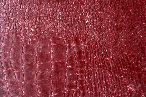 Red leather — Stock Photo, Image