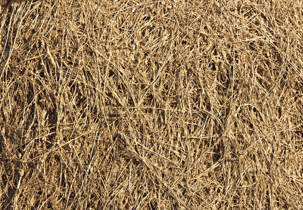 Hay background