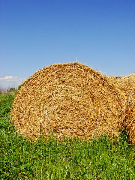 Hay bale — Stok Foto