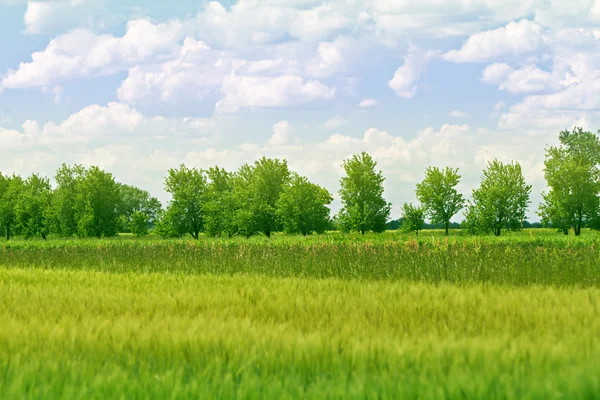 Paisaje — Foto de Stock