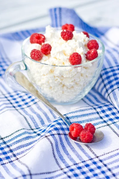 Formaggio morbido con lampone — Foto Stock