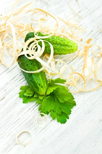 Two cucumbers and parsley on wood shavings — Stock Photo, Image