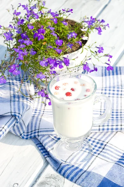Milch mit Himbeeren in Tasse und Blüten — Stockfoto