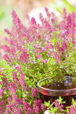 miiddle kekik otlar bitkisel çay