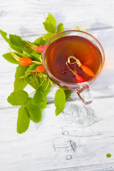 Rose Hip Tea — Stock Photo, Image