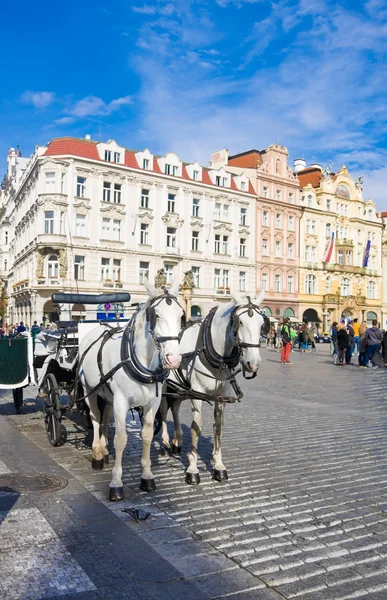 Old Town square in Prague, Czech Republic. Horse drawn carriage — Stock Photo, Image