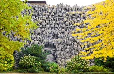 Sarkıt bir duvara wallenstein Bahçe, Prag - Çek Cumhuriyeti