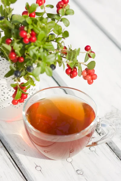 Hot tea and beries — Stock Photo, Image