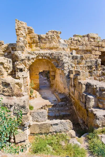 Σαλαμίνας ερείπια στη Βόρεια Κύπρο — Φωτογραφία Αρχείου