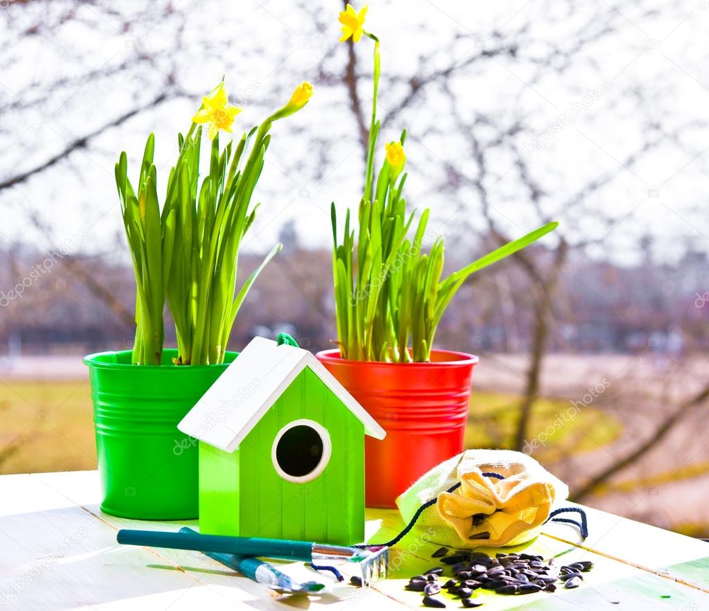 Bird house and Narcissus in pots, shovel and seeds in spring