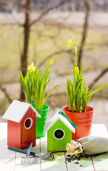 Casa de aves y Narciso en macetas, pala y semillas en primavera — Foto de Stock