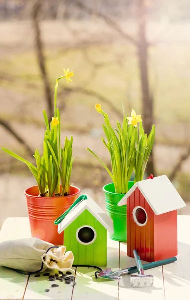 Casa de pássaros e Narciso em vasos, pá e sementes na primavera — Fotografia de Stock