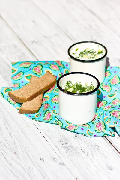 Okroshka. The traditional Russian summer soup and rye bread — Stock Image Okroshka. The traditional Russian summer soup and rye bread Stock Image