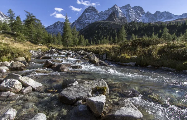 Malowniczy górski potok we włoskich Alpach — Zdjęcie stockowe
