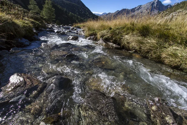 Ruisseau panoramique de montagne dans les Alpes italiennes — Photo