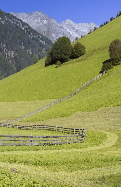 Malownicze alpejska łąka w południowy tyrol, Włochy — Zdjęcie stockowe