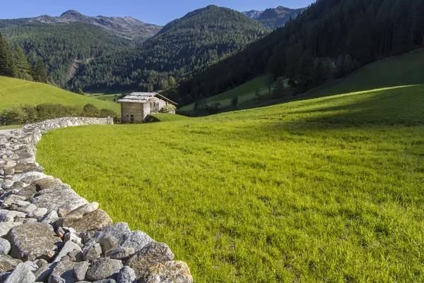 Malownicze alpejska łąka, chaty na góry — Zdjęcie stockowe