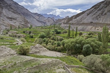 dağ manzarası içinde ladakh, Hindistan