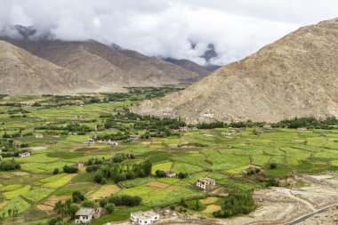 doğal dağ manzarası içinde ladakh, Hindistan